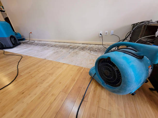Professional Flood Damage Cleanup technician working in Corning, NY